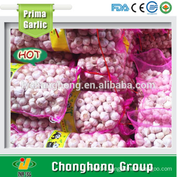 Best quality fresh garlic with low price